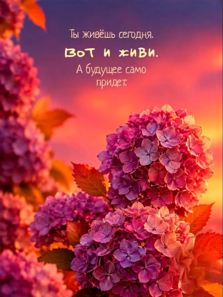 https://max.ru/invista123456