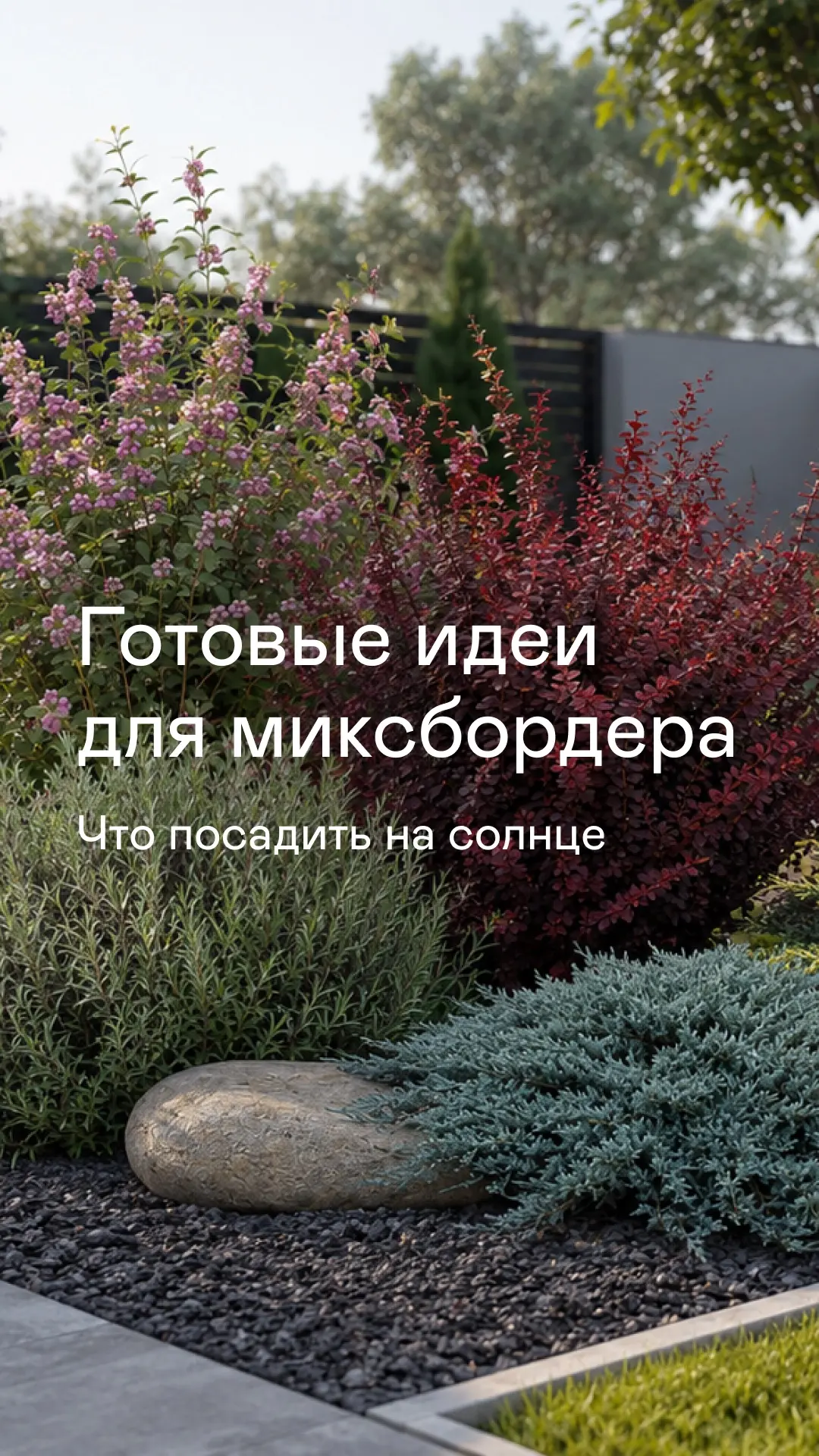 Друзья, давайте соберем солнечные миксбордеры? ☀️

Хотите, чтобы ваш участок сиял красками даже в са