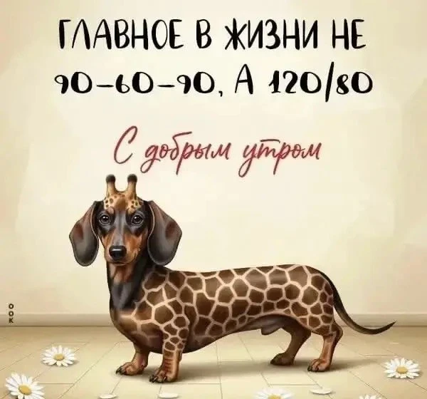 Мои дорогие и любимые!