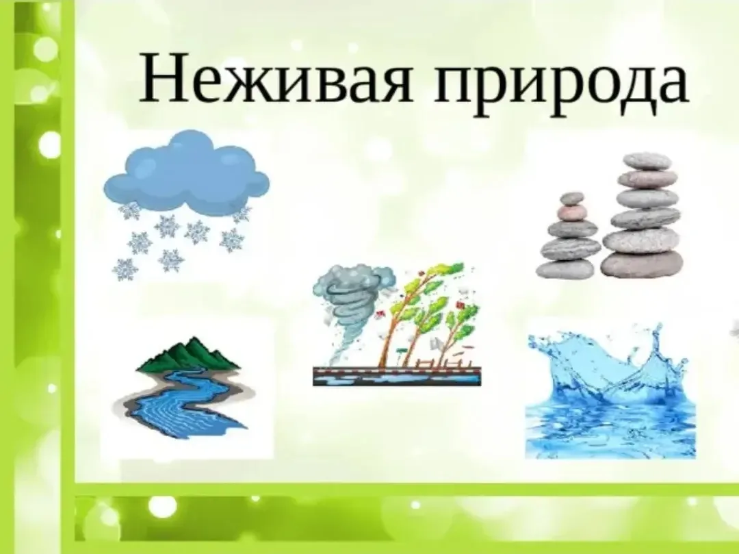 В 3–4 года дети — «почемучки», и их словарный запас активно растёт. Ваша задача — не пр...