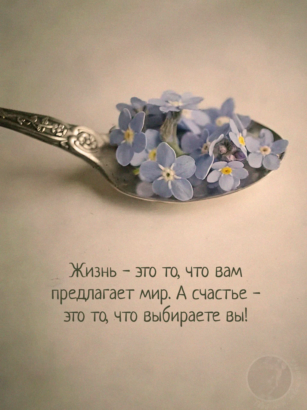 Мир щедро рассыпает перед нами события, случайности и возможности. Но только мы сами решаем, что пол