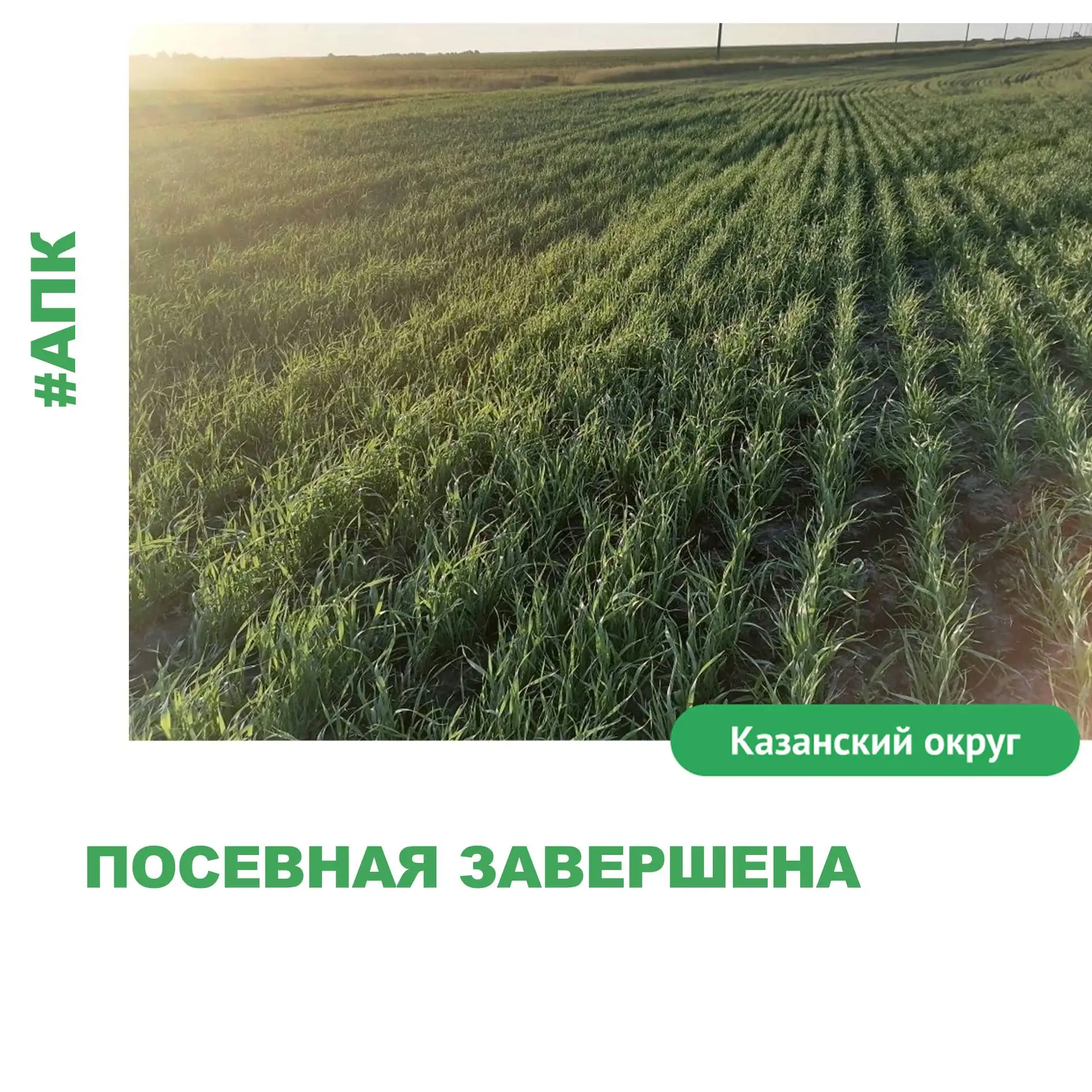 🌾 В Казанском округе завершена посевная кампания на площади более чем 69 тысяч гектаров.
⁣
Заметно 