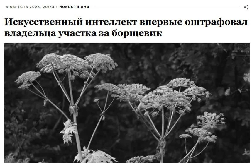 ⚡️Первый «нейро-штраф» выписали в Подмосковье – дрон заснял борщевик на дачном участке 

Система обн