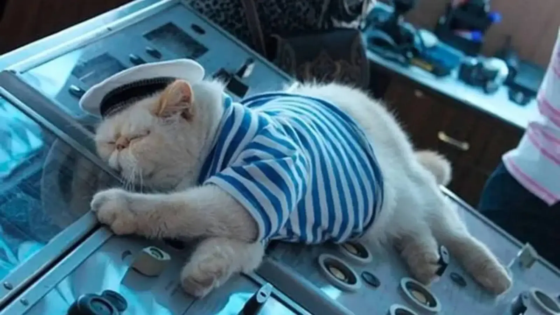 🛥 День Военно-Морского Флота отмечается сегодня.