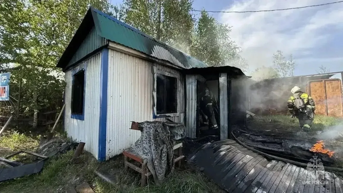 В ХМАО сгорел загородный домик из-за спирали для отпугивания насекомых