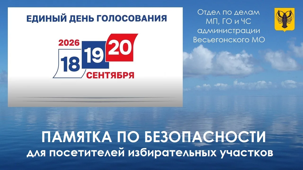 📣 Уважаемые весьегонцы, в Единый день голосования большинство из нас придут на избират...