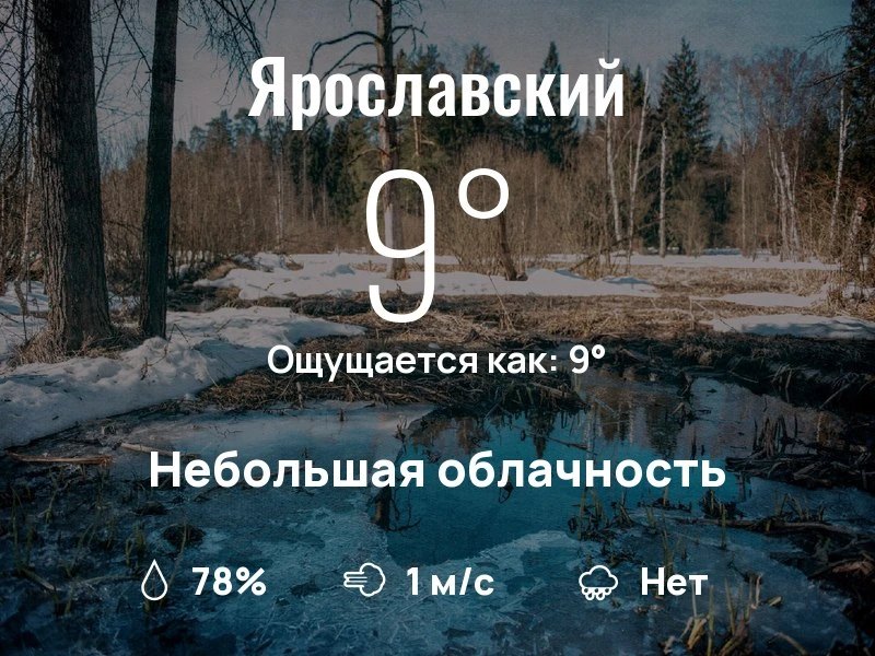 Что с погодой в Ярославском?