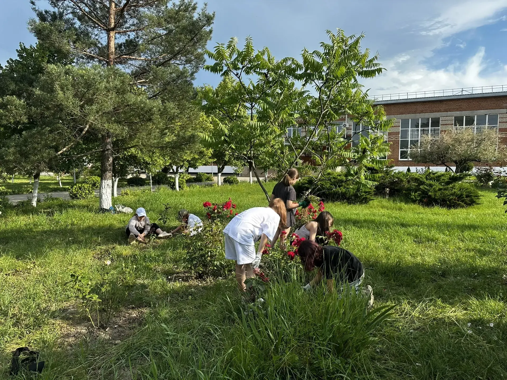 Фитнес по-лицейски 💪🌿

Лето — не только для отдыха, но и для прокачки выносливости! Наша летняя се