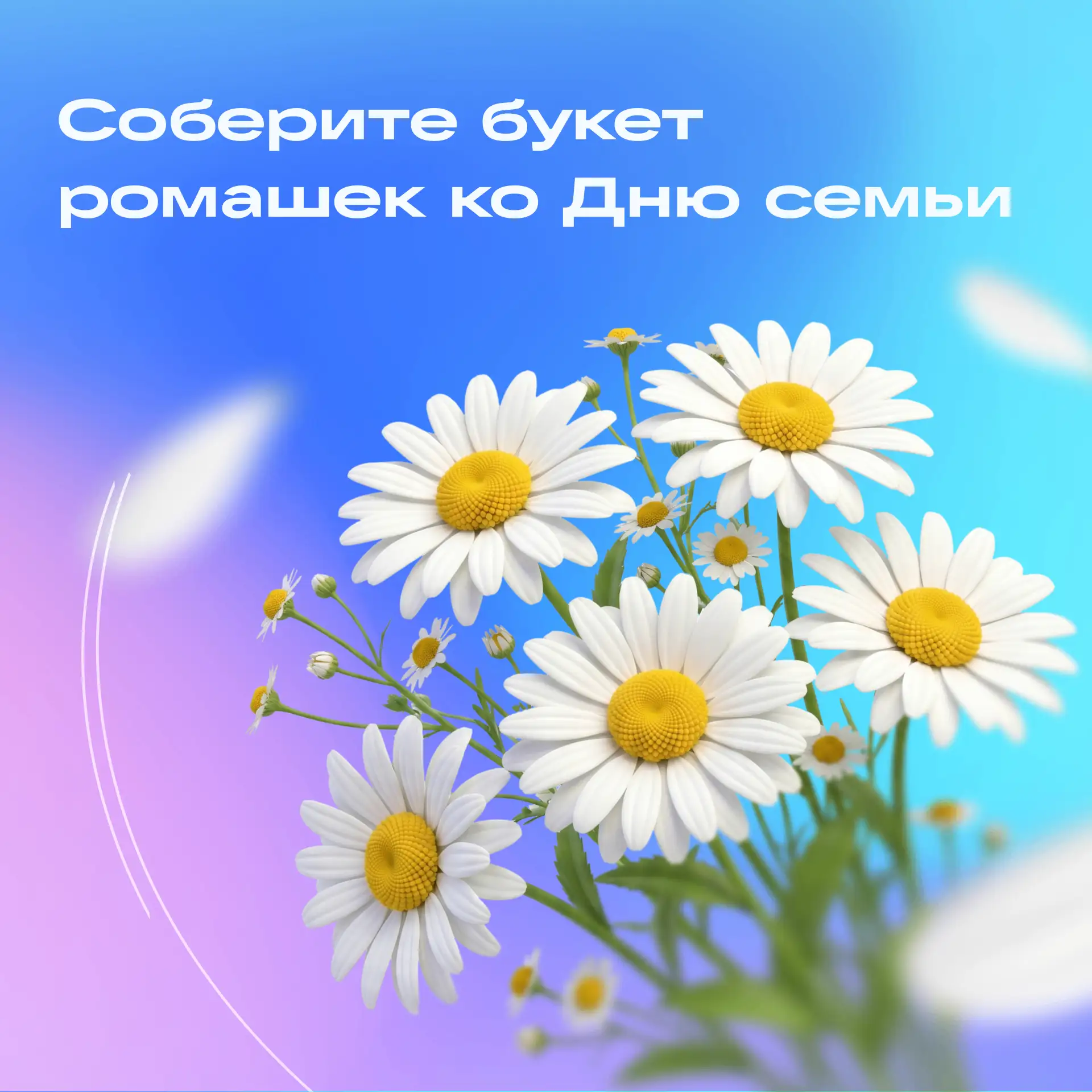 Соберите букет ромашек ко Дню семьи — сможете порадовать себя и близких