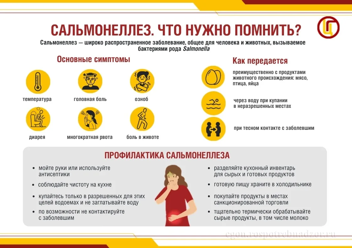 ☝Сальмонеллез — это инфекционное заболевание, вызываемое бактериями рода Salmonella. Это одна из сам
