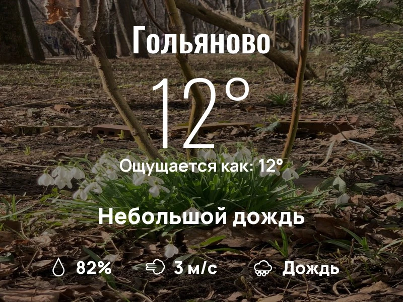 Что с погодой в Гольяново?