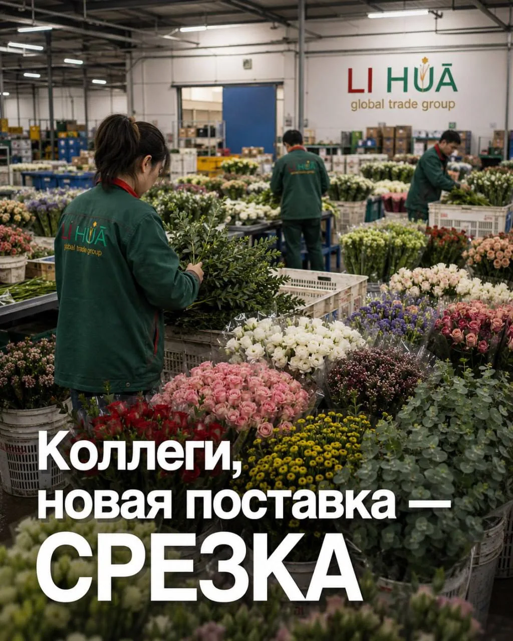 Коллеги, новая поставка СРЕЗАННЫХ ЦВЕТОВ ИЗ КИТАЯ 🌸