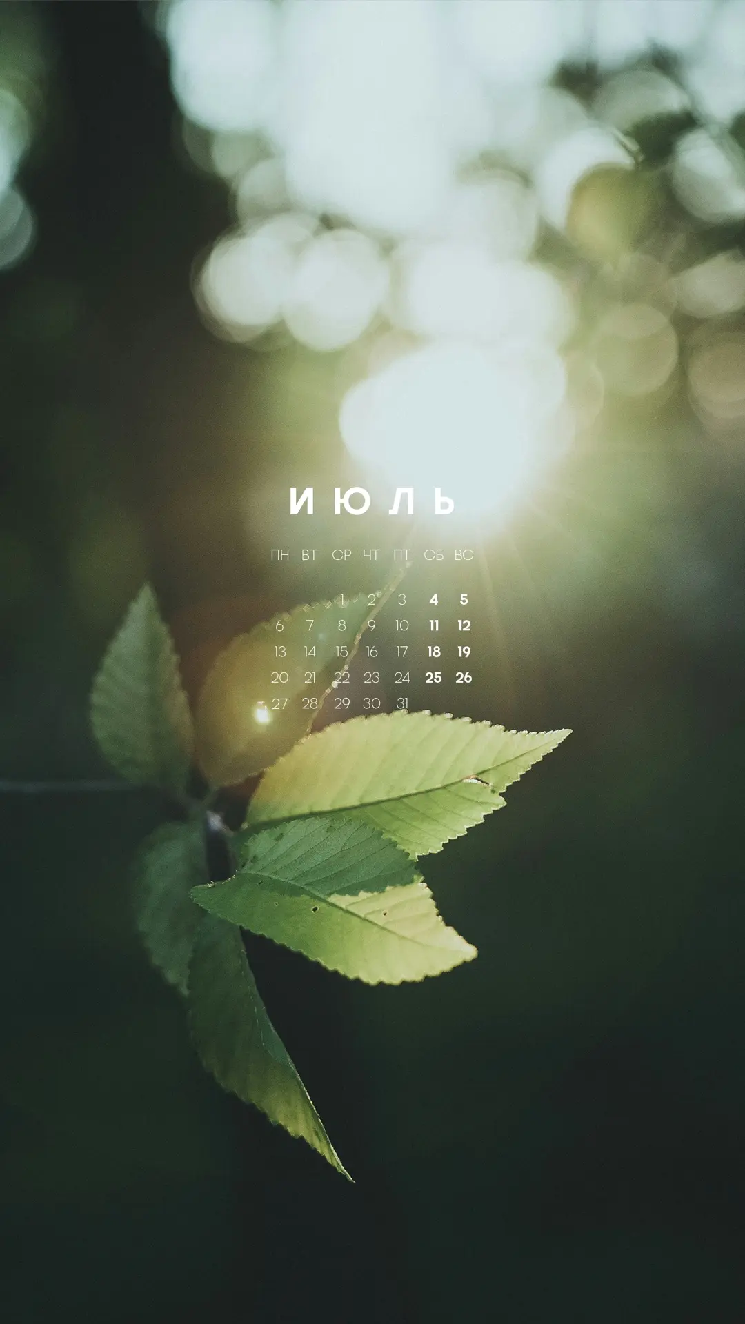🏃‍♂️Июль на подходе, а значит, официально начинается режим «какая работа, на улице +30».