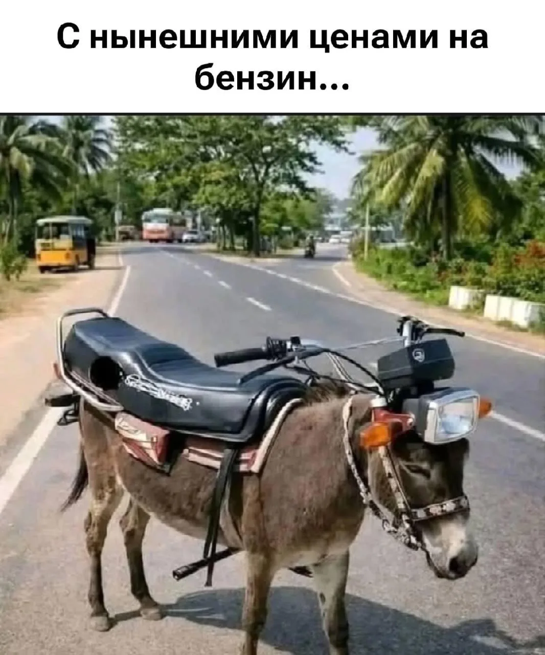 😂😂😂

Топ приколы — Подписывайся