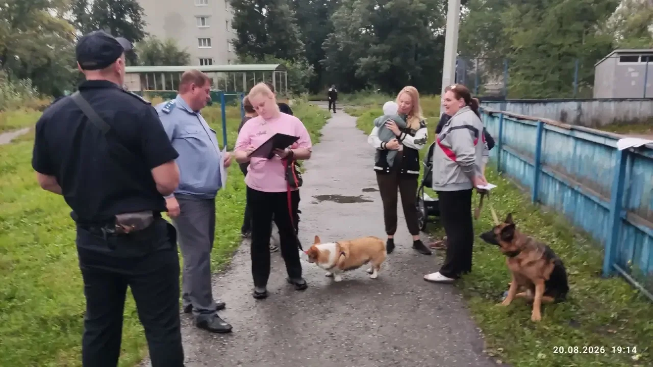 🐾 В Ульяновске прошёл профилактический рейд по соблюдению правил выгула собак