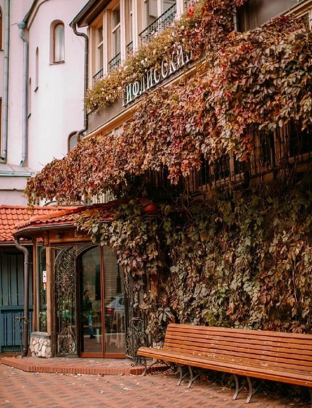 🍂 Встречаем золотую осень в Тифлисском дворике