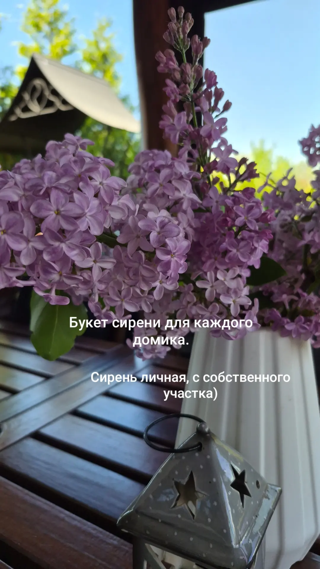 Здравствуйте, друзья!