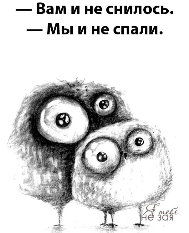 🇷🇺  Мы в МАХ : https://max.ru/public217683068