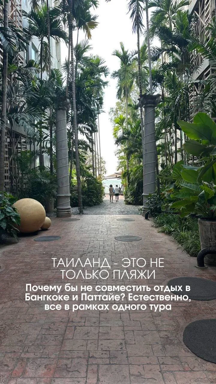 🚨 Написать нам | @suntorini