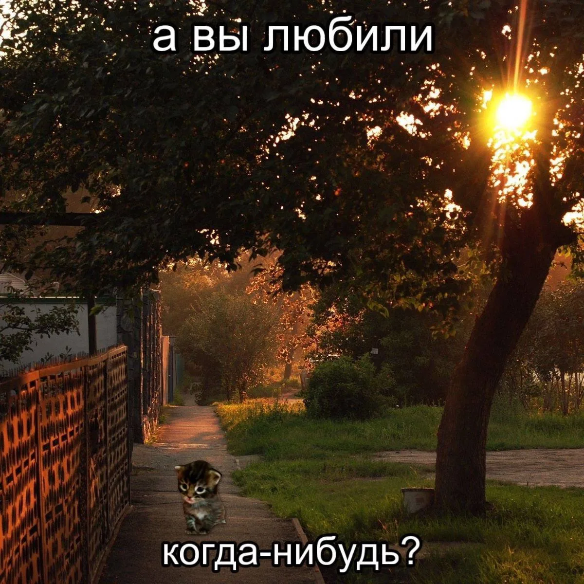 А вы?