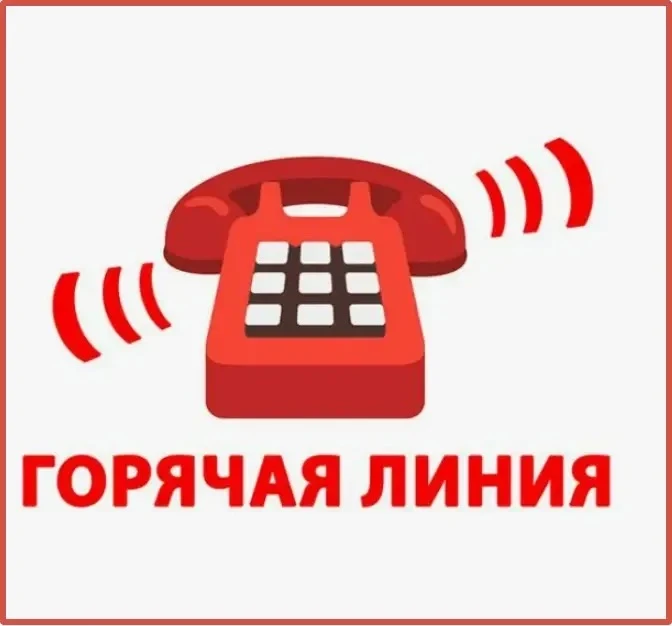 🕷️ Осторожно, клещи! Горячая линия уже работает.
