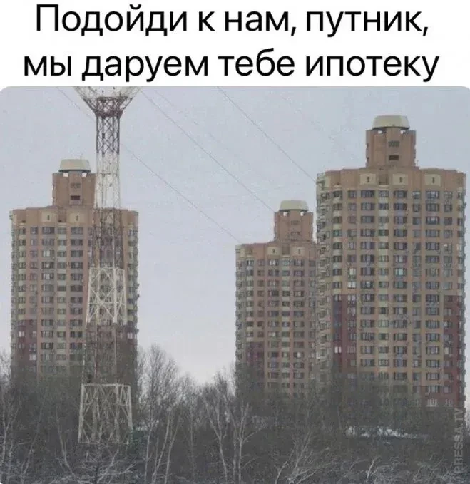 Изображение 1 к публикации «Пикабу»