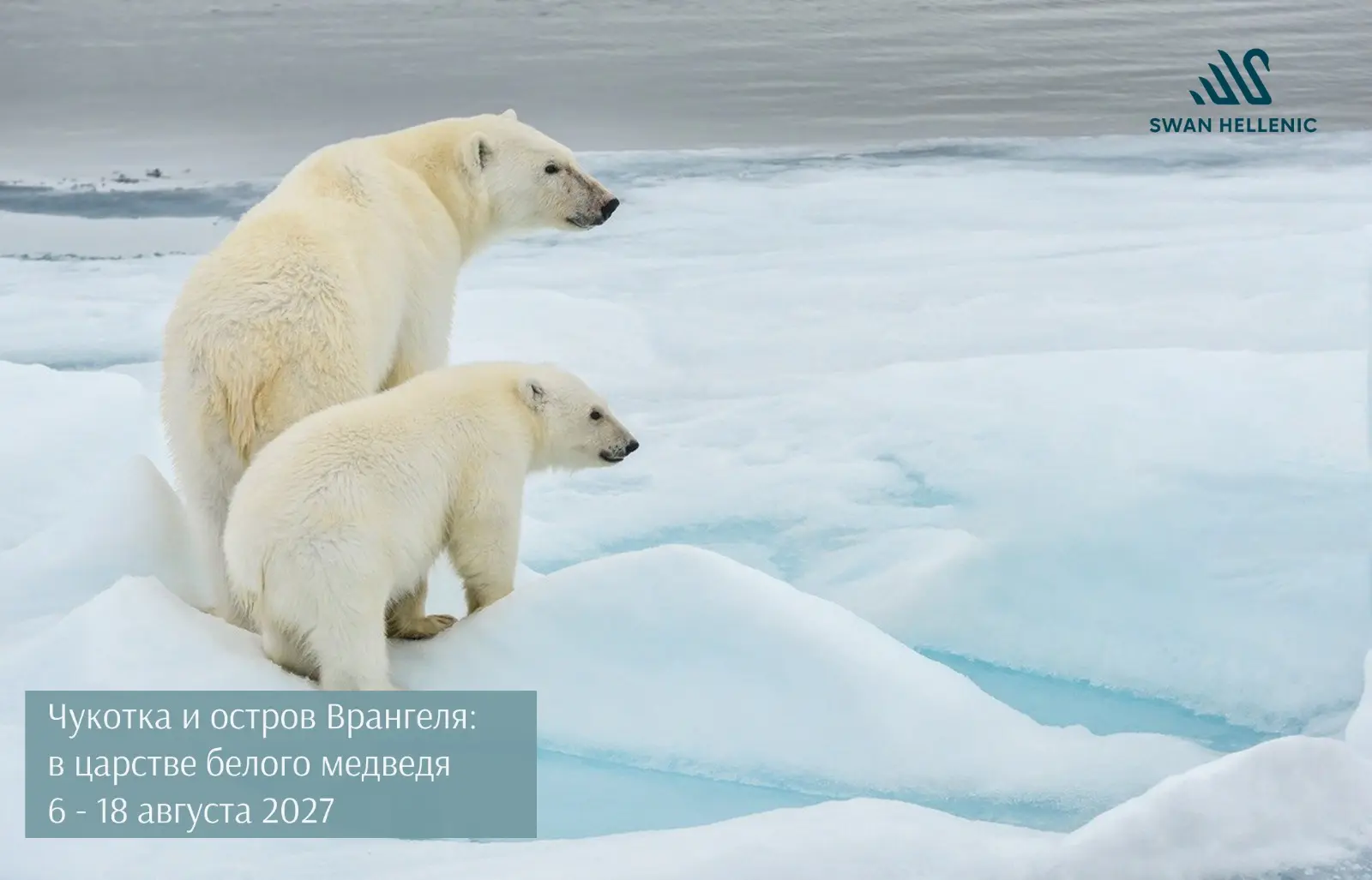 *Экспедиционный круиз Swan Hellenic на Чукотку с 6–18 августа 2027 года.*