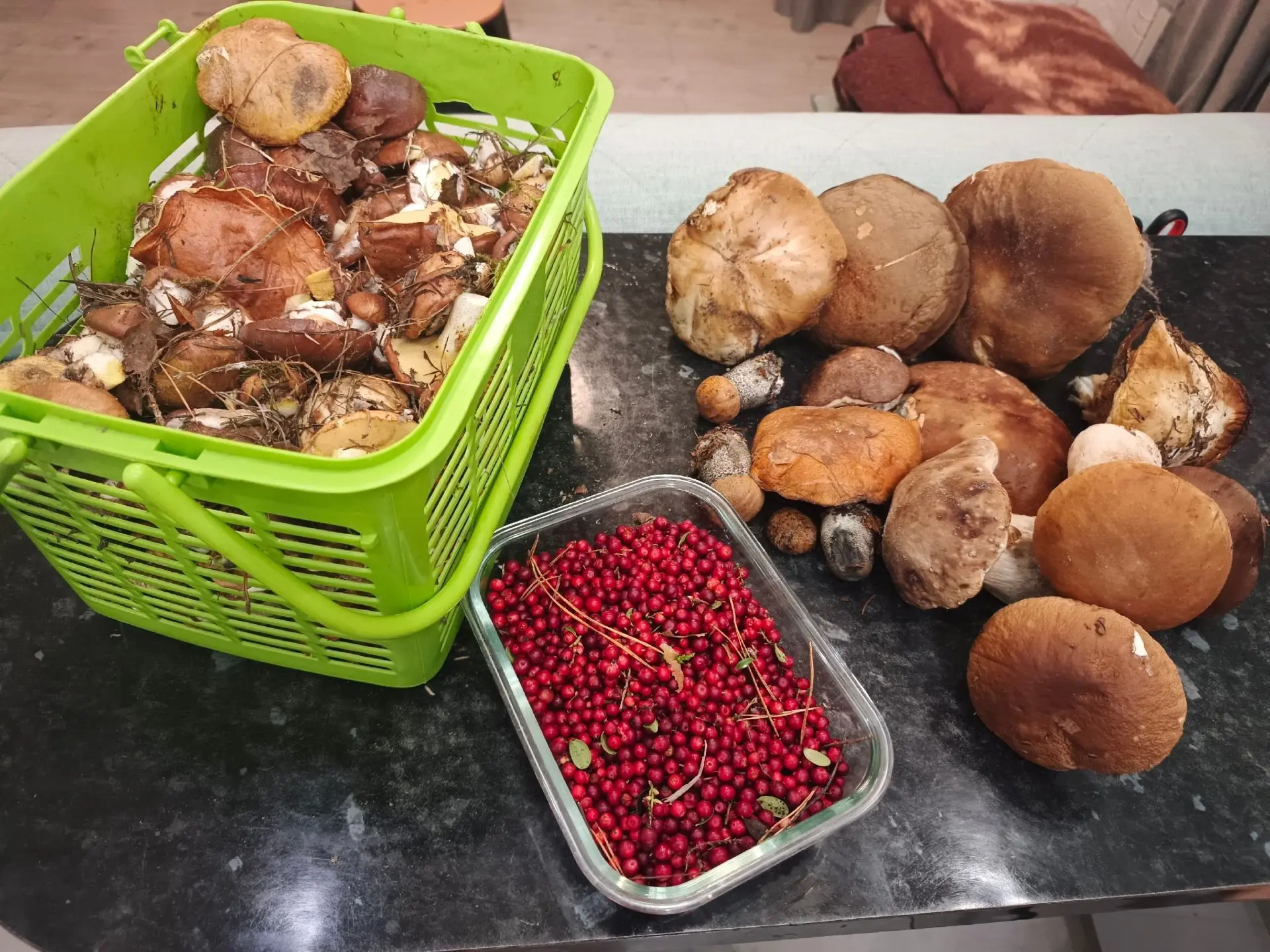 Результат двухчасовой прогулки: