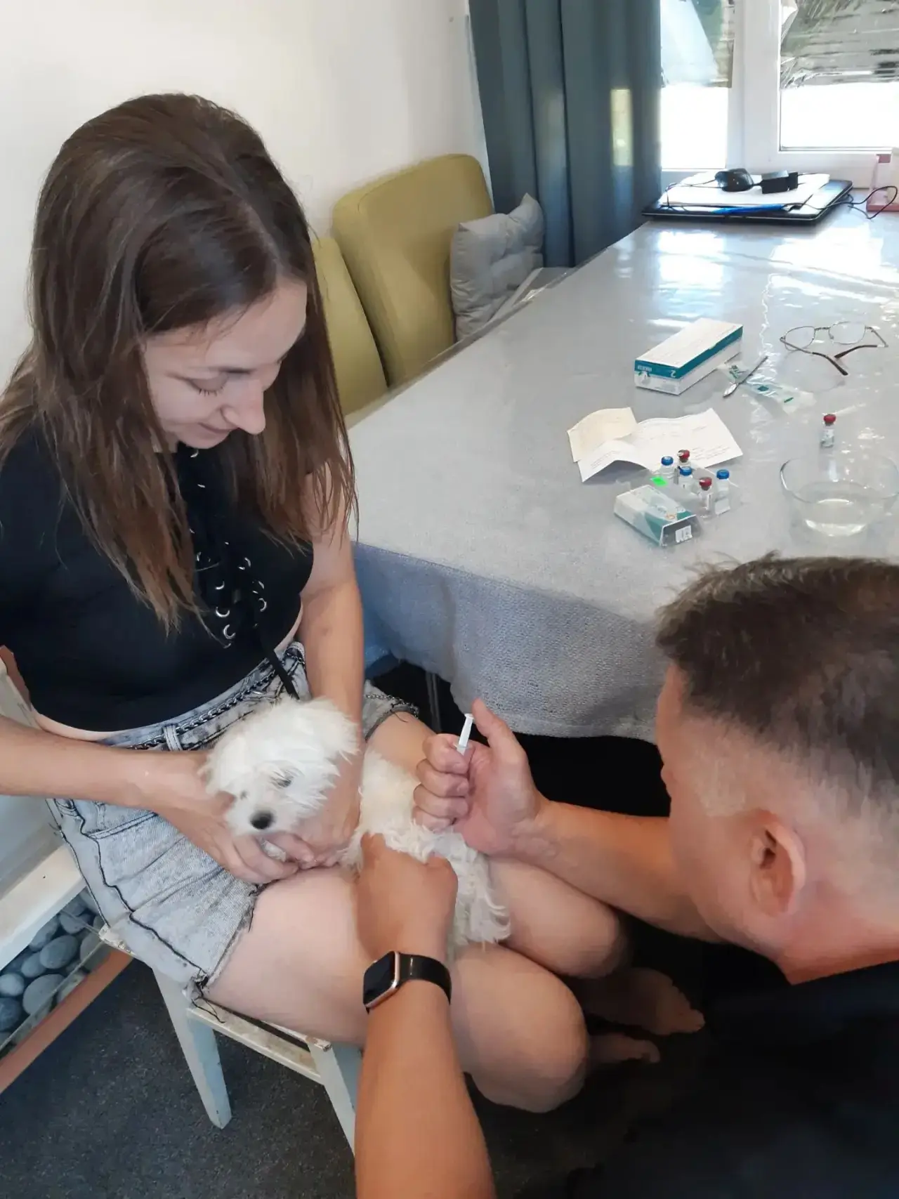🐕 Профилактическая вакцинация на дому! 💉
