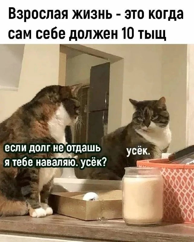 Куда распределять деньги, чтобы они не лежали одной кучей

Главная ошибка накоплений: хранить все де
