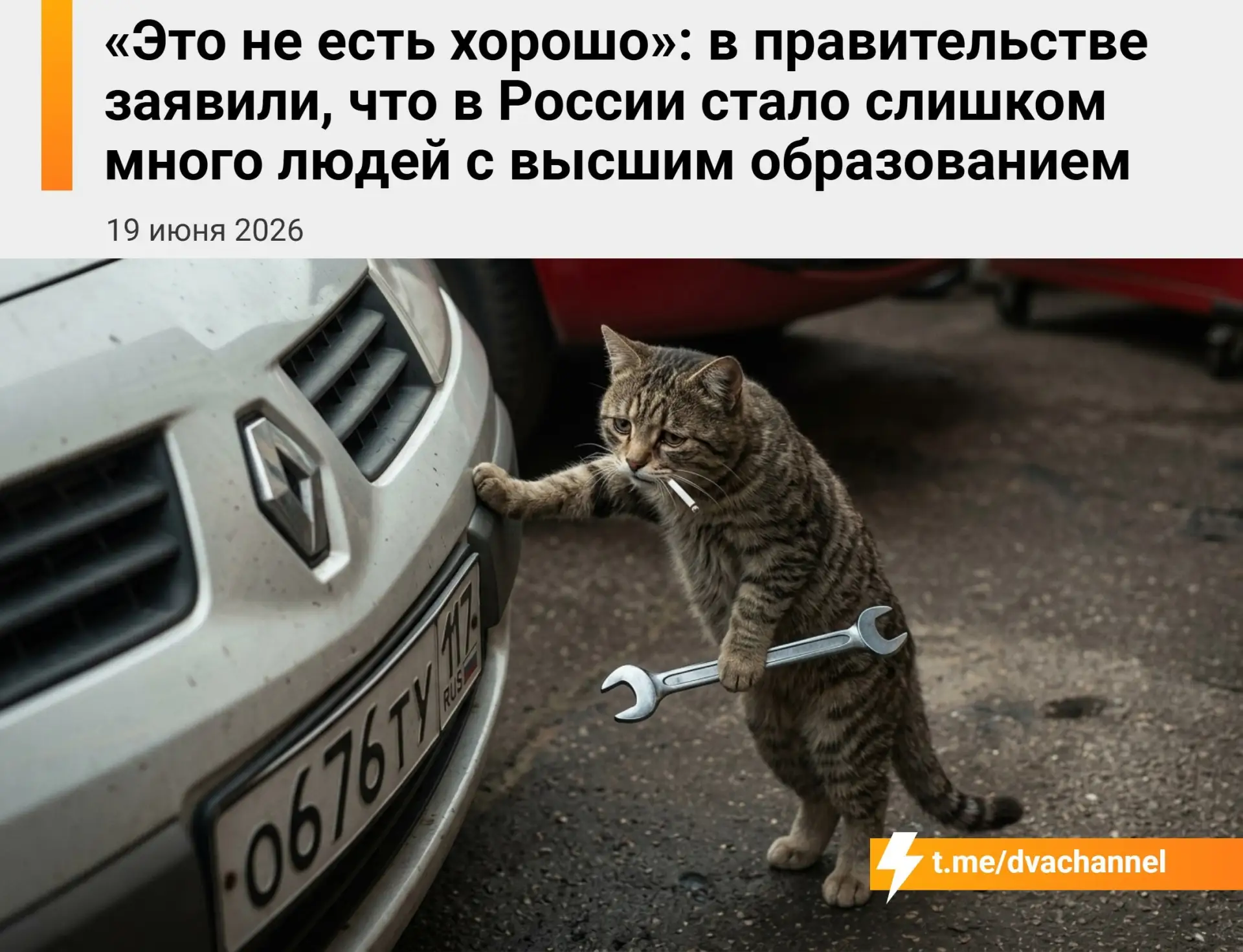 В России стало слишком много людей с высшим образованием, заявил глава Минобрнауки Валерий Фальков

