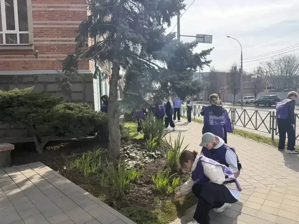 Краснодар преображается: городские учреждения и ТОСы объединились для чистоты и красоты!