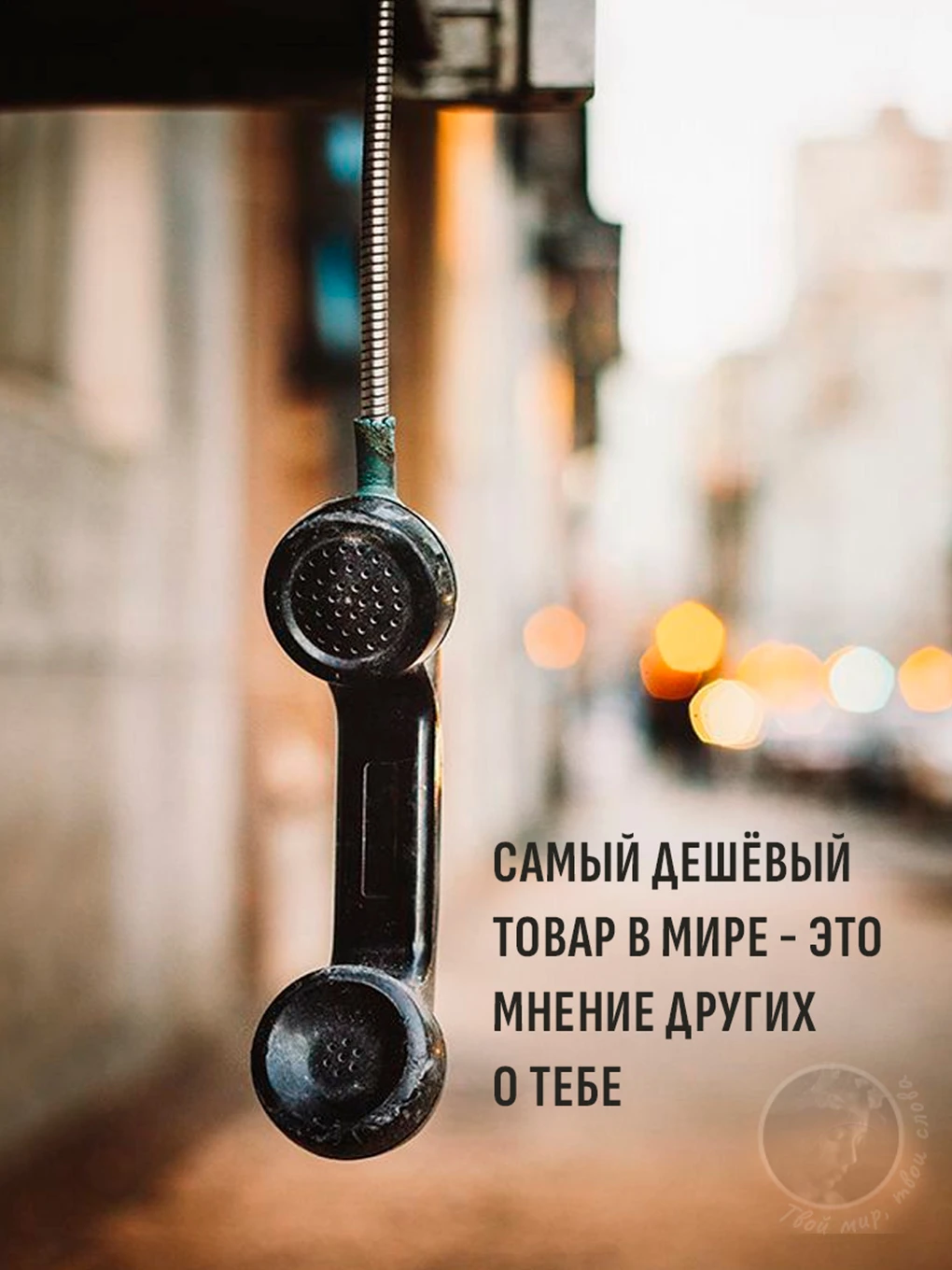Твой мир, твои слова