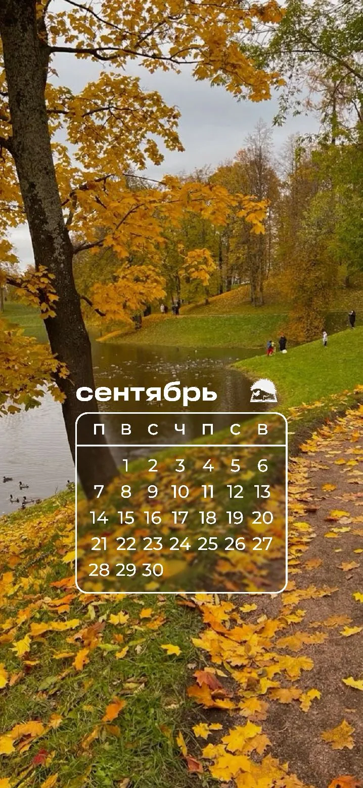 Обои на телефон | Сентябрь