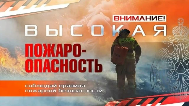 Высокая пожароопасность (4 класс) местами в ДНР ожидается в период с 7 по 9 августа.