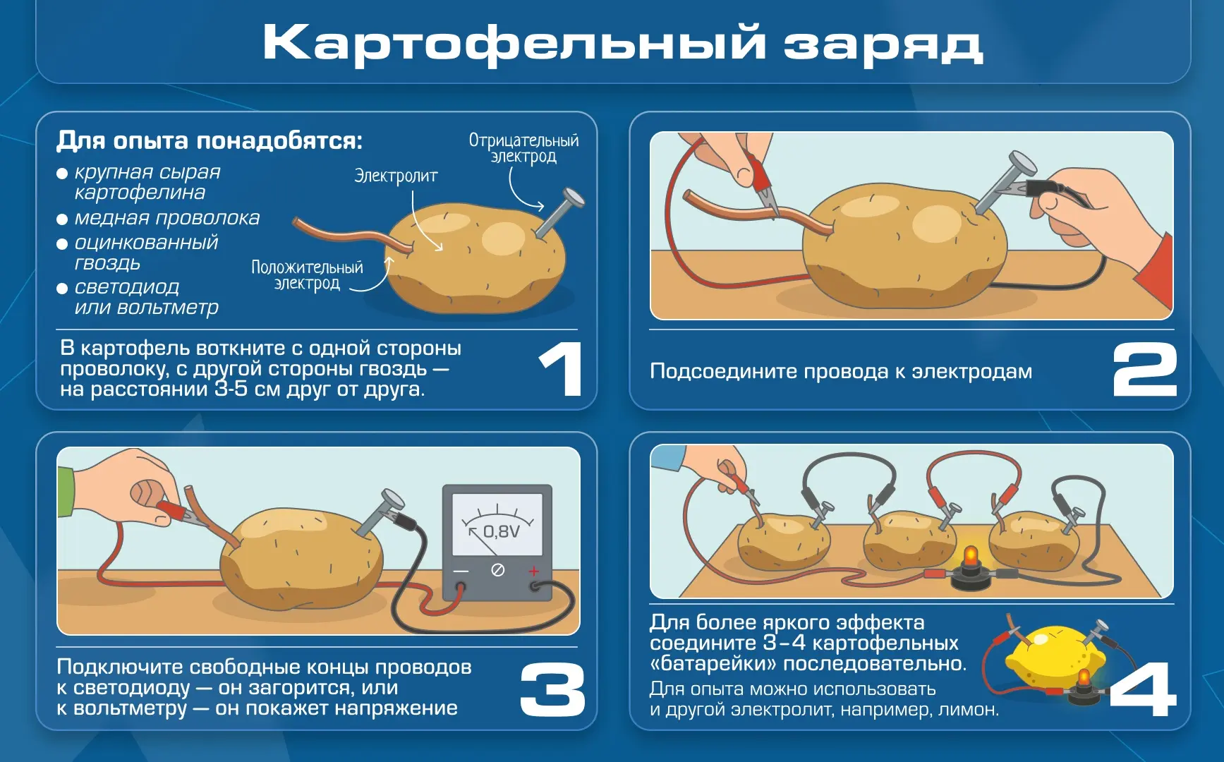«Ты думаешь, что картошка – это так вот просто, сварил и съел, да? Не тут-то было! Из н...