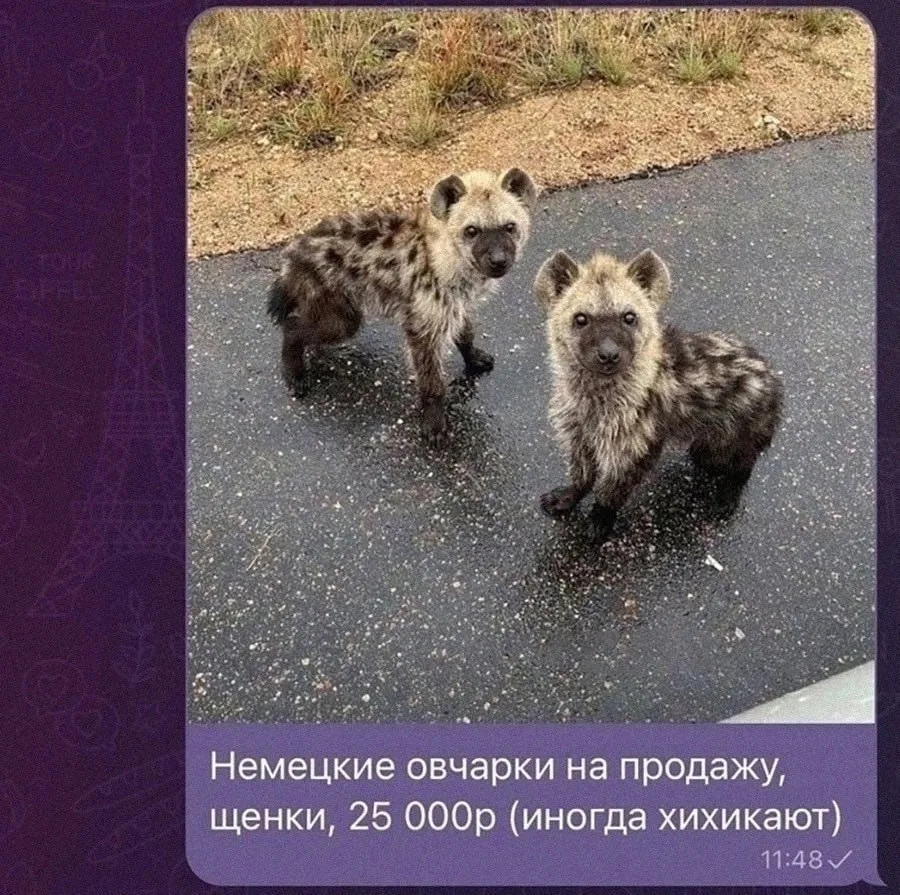 Подписаться