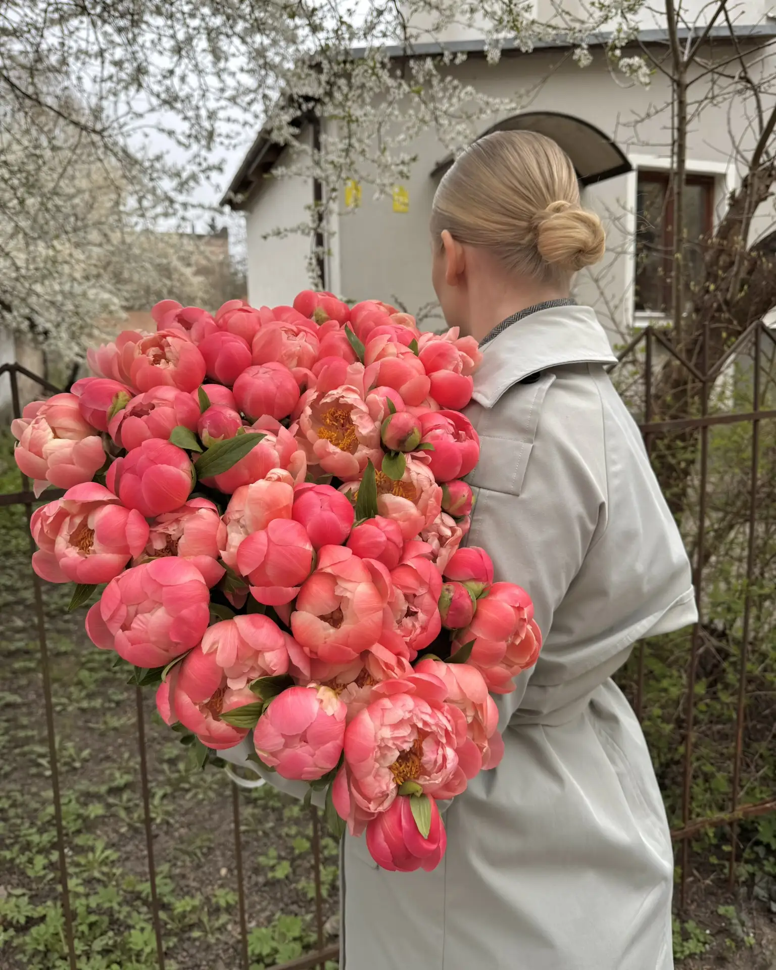 Пионы в наличии🎊