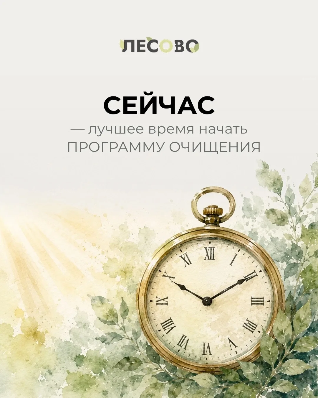 Почему детокс-напиток Лесово выгоднее брать именно сейчас? 

Потому что на старте вы получаете не то