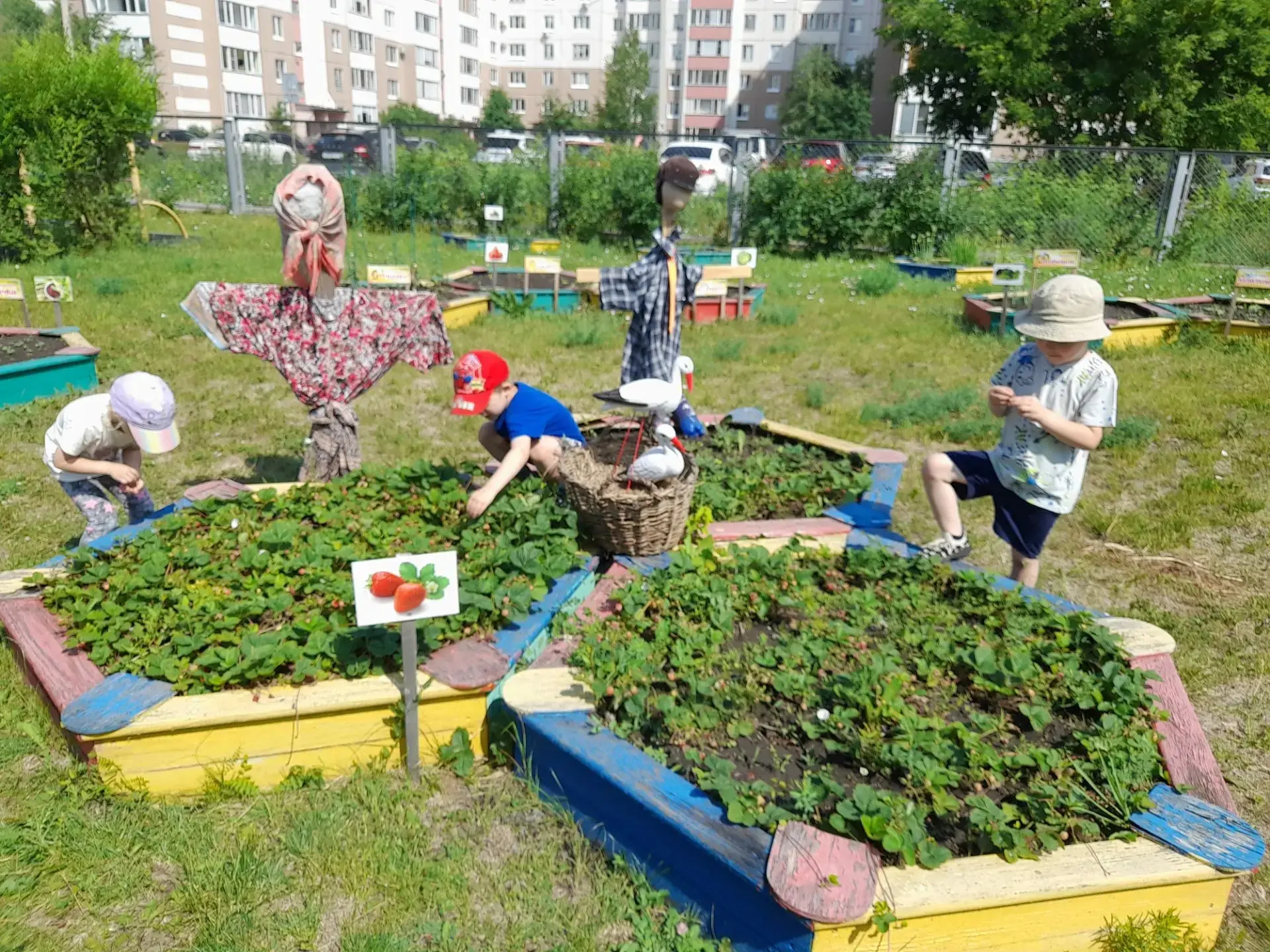 РЕБЯТКИ НА ГРЯДКЕ 🍓🐞🍒

Лето в детском саду — это не только солнце и весёлые игры, но и время сбор