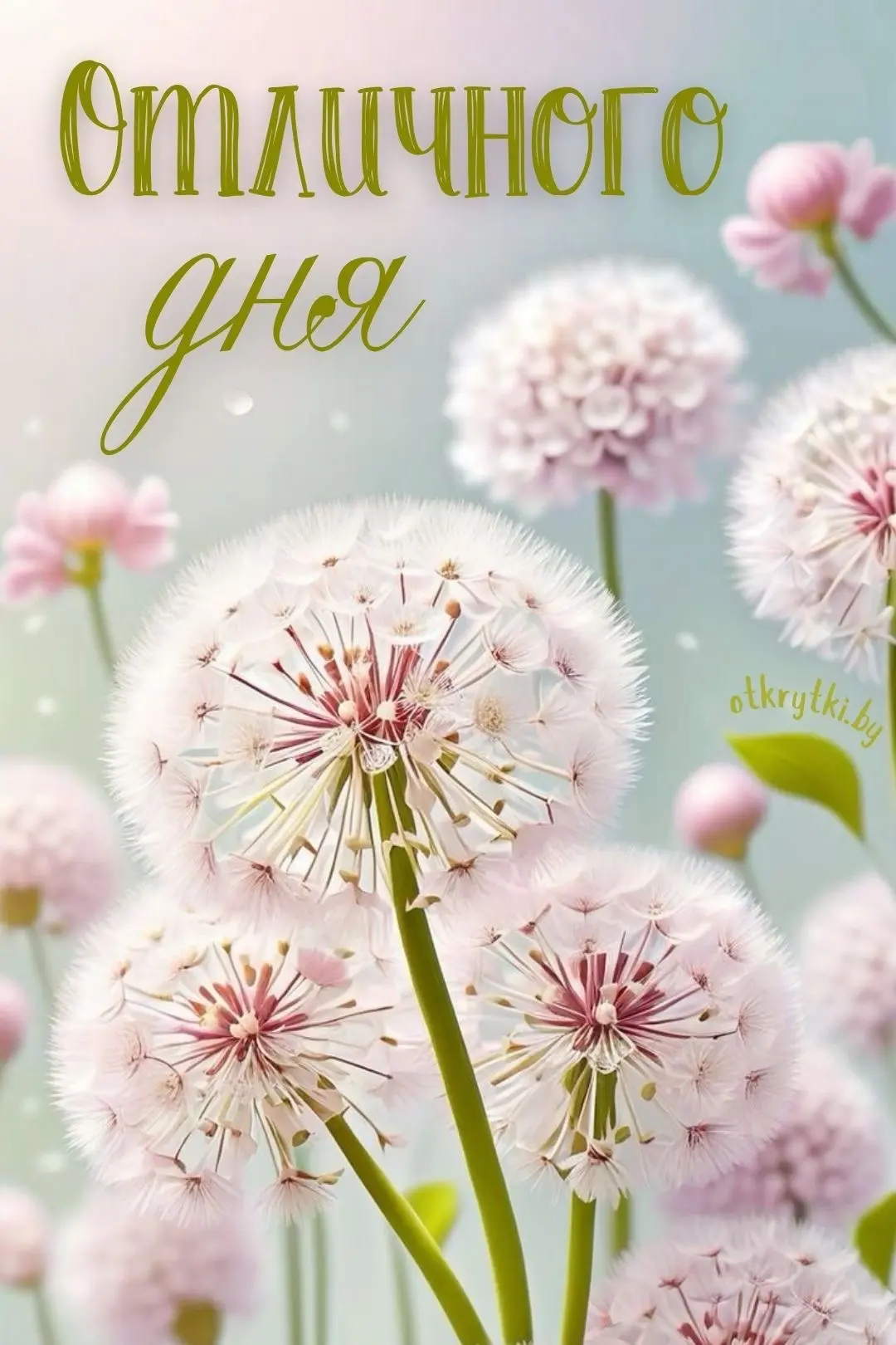 🥰Открытки и поздравления!