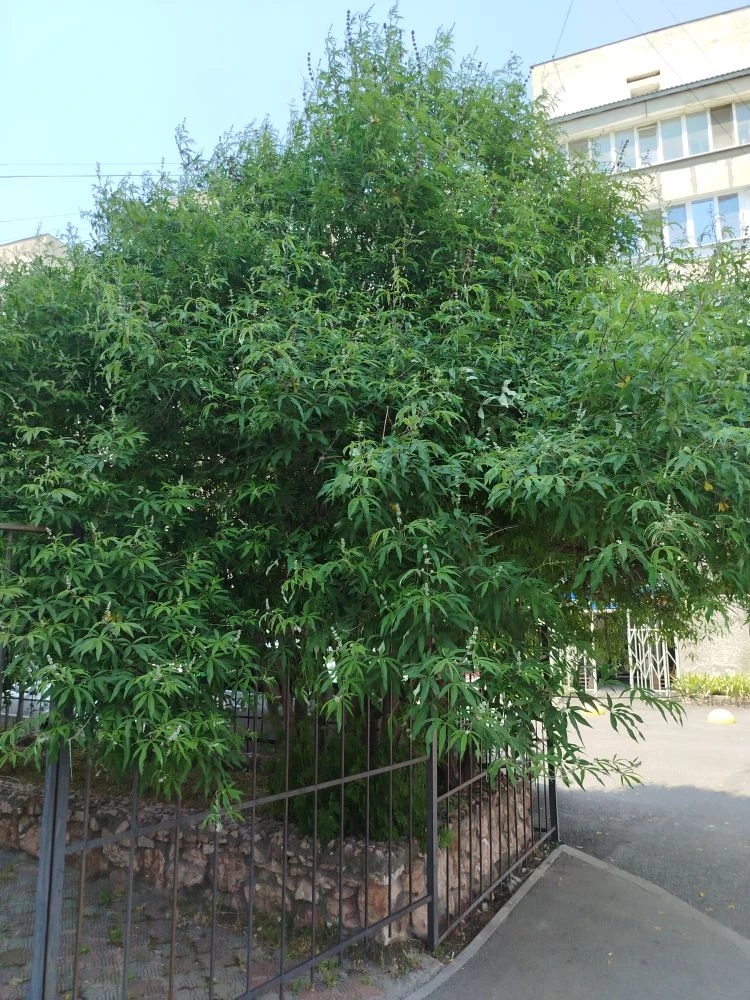 Мы собираемся в путешествие без определенных сроков и маршрута 😳🙈😔. Много дел до отъ...