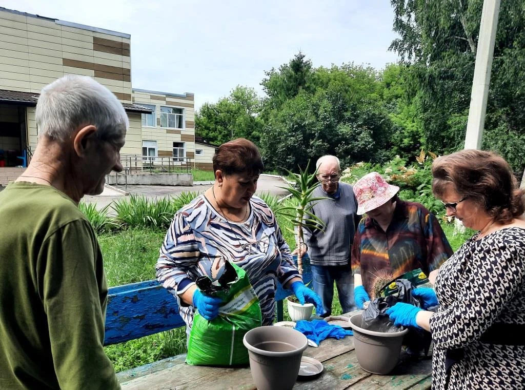 Такой метод психосоциальной и трудовой реабилитации, как гарденотерапия, эффективно реализуется в ст