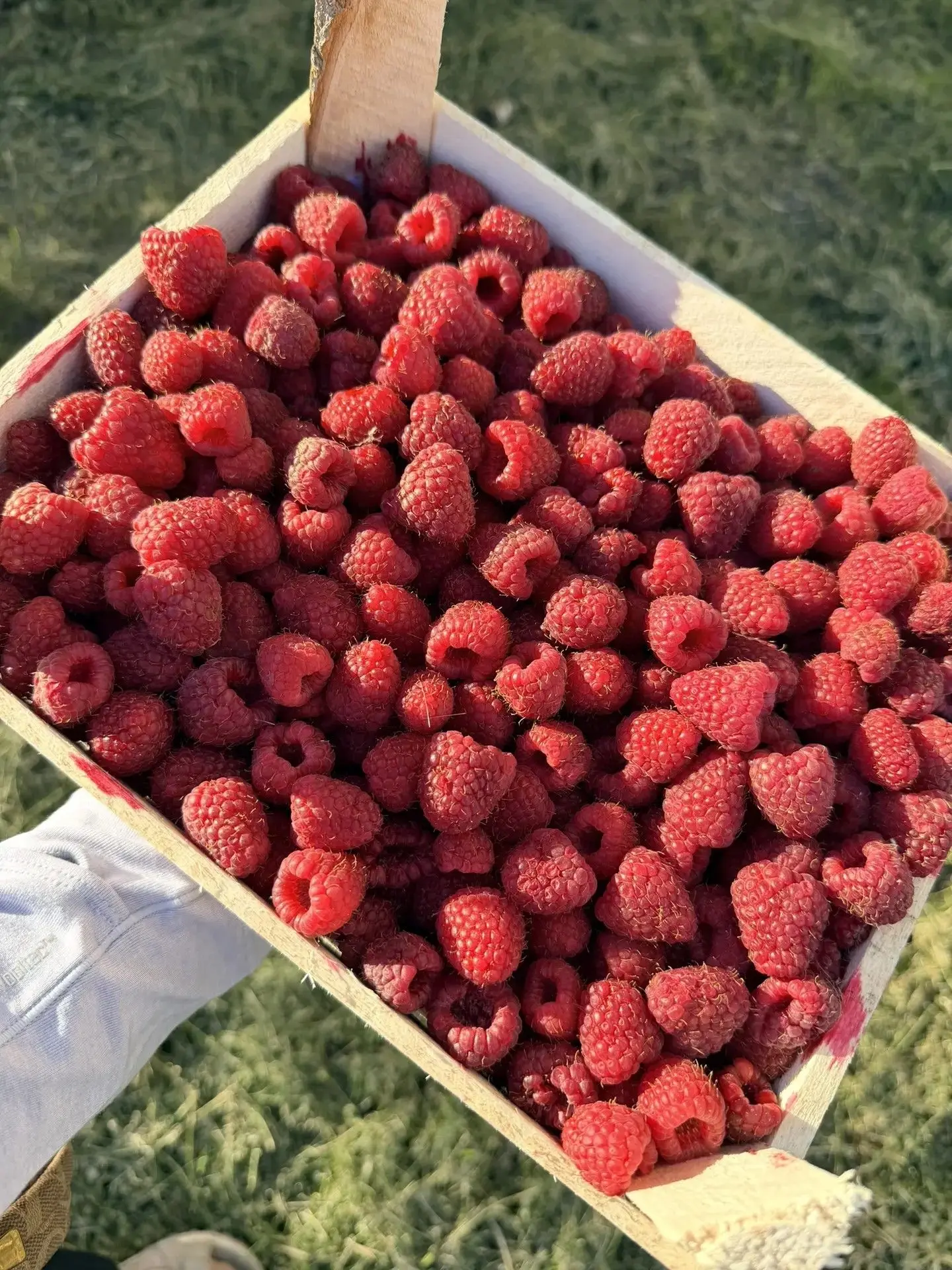 ❤️🍓🚛 ДОРОГИЕ ЖИТЕЛИ КИСЕЛЕВСКА