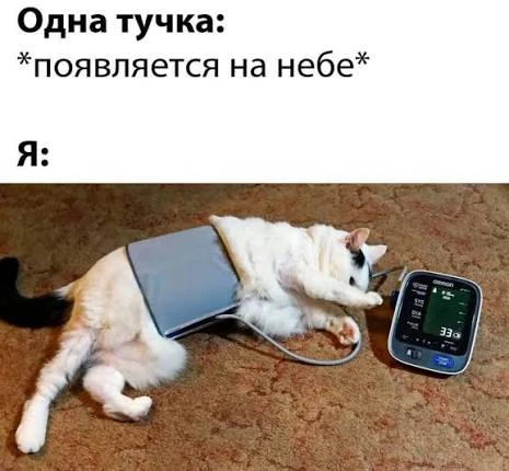 Метеозависимость: как погода влияет на самочувствие и что делать