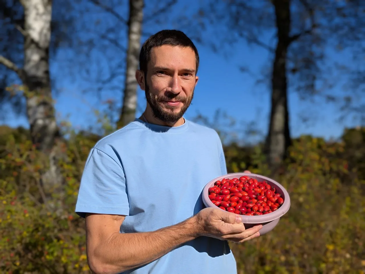8 рецептов с Шиповником - грипп, слабость, диарея, камни, опухшие суставы  🍒 Плоды Шиповника букваль
