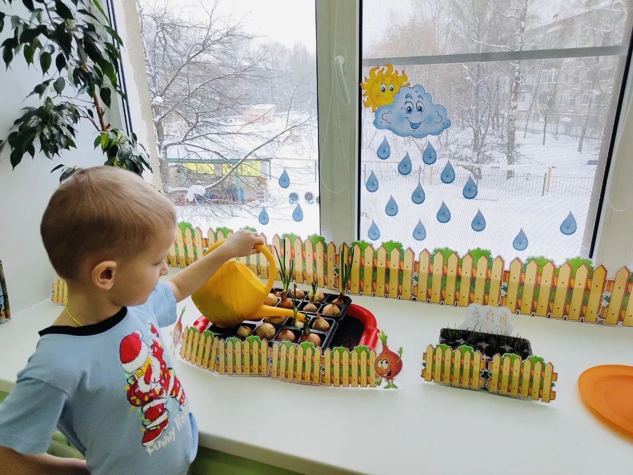 👩‍🌾Рубрика "Огород на окне"

☝️Первая неделя после посадки. 

💦Ребята всю неделю поливали, ухажив