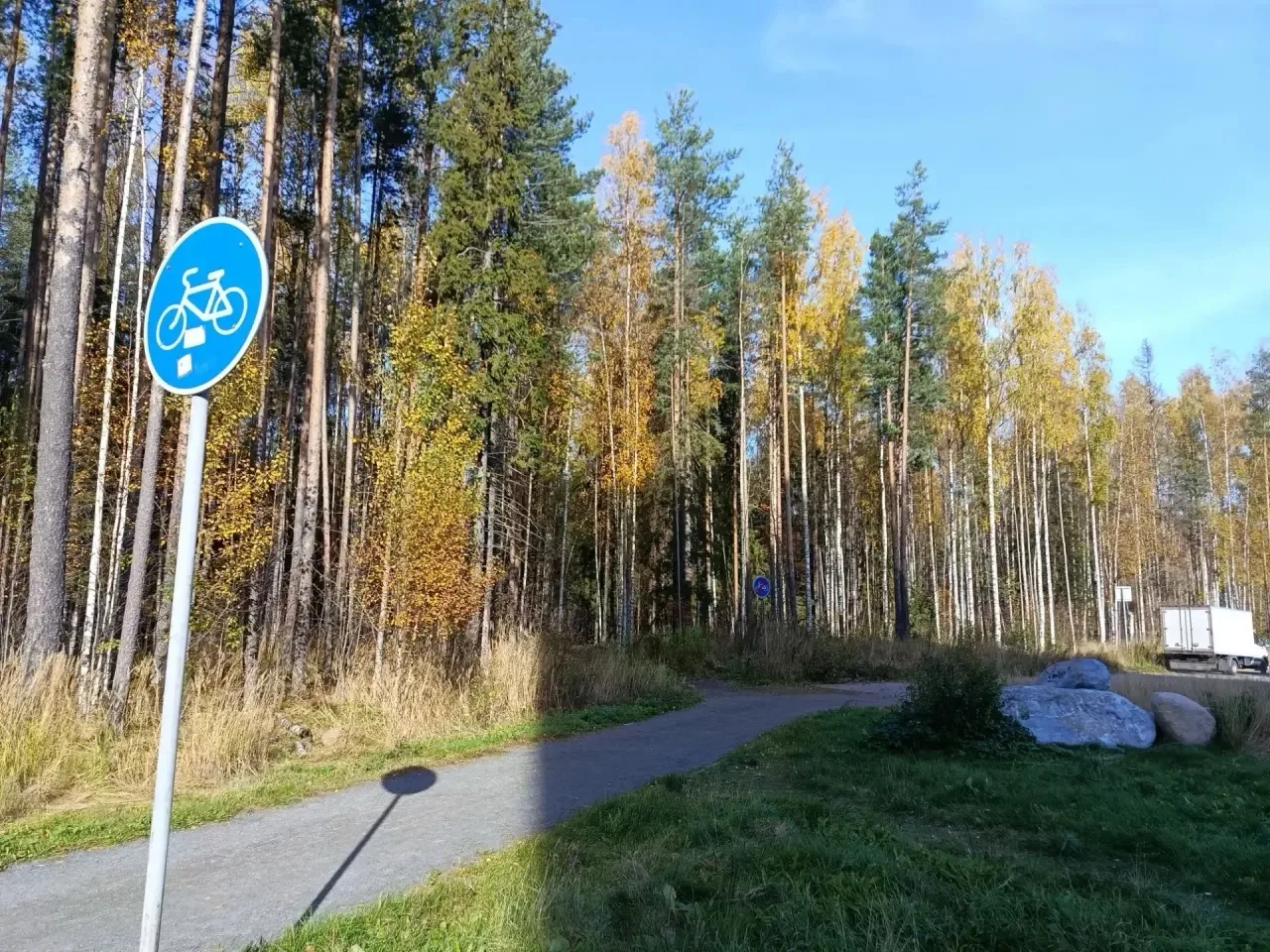 В парке «Неглинский берег» на Древлянке оборудуем освещение💡