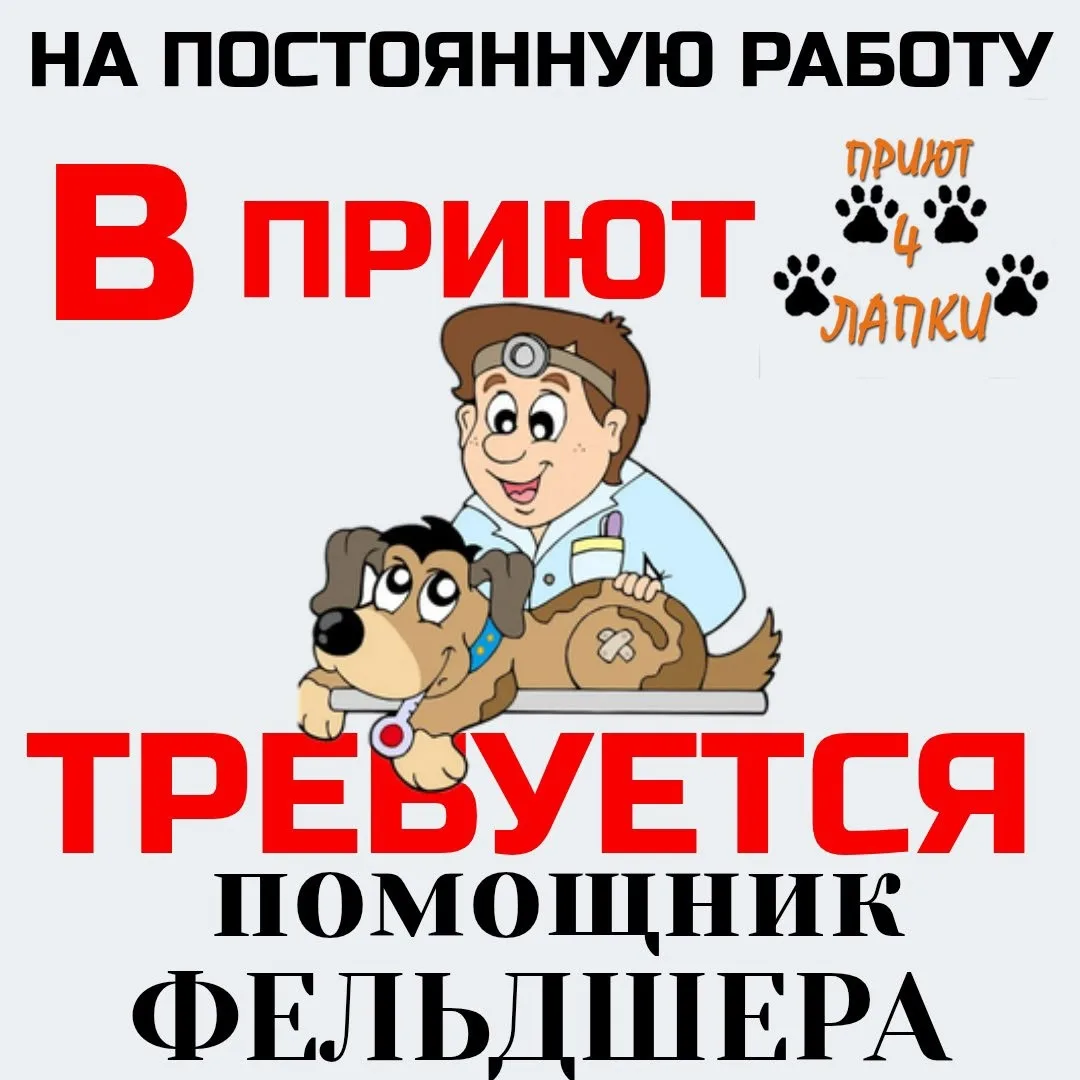 В Донецкий приют для бездомных🐕 животных 🐾«4 ЛАПКИ»🐾, на постоянную работу СРОЧНО тр...