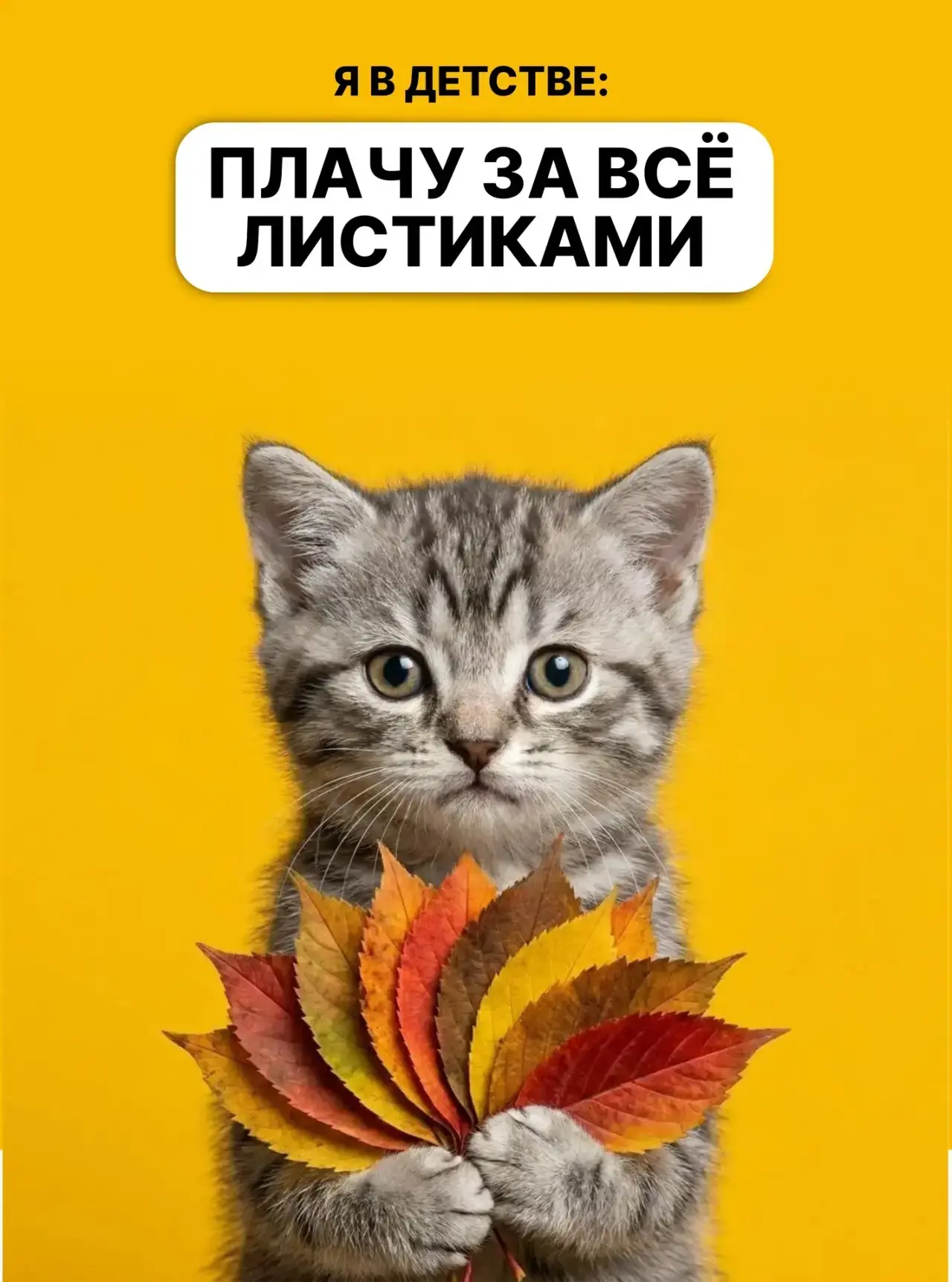Все АКТУАЛЬНЫЕ КУПОНЫ И ПРОМОКОДЫ на скидку берём на моем бесплатном сайте: ↓… — публикация канала «ГИД ПО СКИДКАМ»